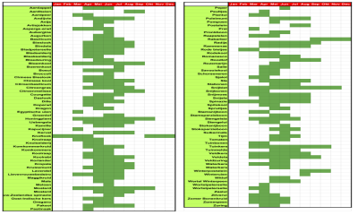 Waarom is een zaaikalender nuttig voor je moestuin?
