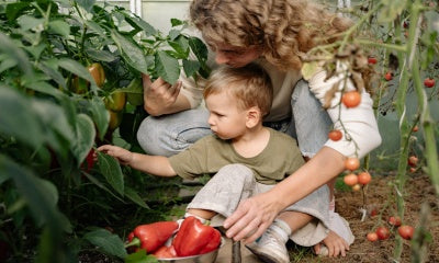 Hoe betrek je kinderen bij je moestuin?