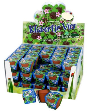 Klavertje vier als leuk cadeau: wanneer zaaien?