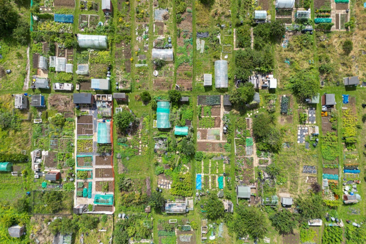 De moestuin in mei: wat kun je nu doen?