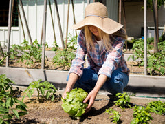 Moestuin kalender: wanneer welke groenten en kruiden zaaien?