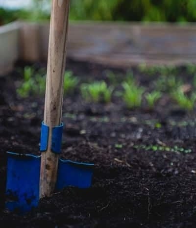 Hoe maak je je moestuin klaar voor de winter?