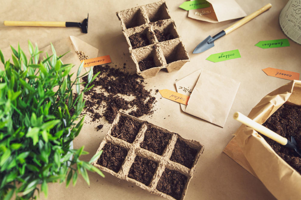 Moestuinieren op de vensterbank: zo pak je dat aan