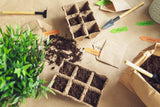 Moestuin op de vensterbank: zo pak je dat aan