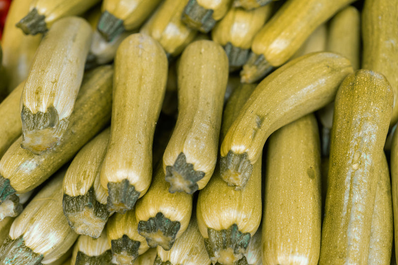 Courgette kweken: stappenplan | hoe ga je te werk?