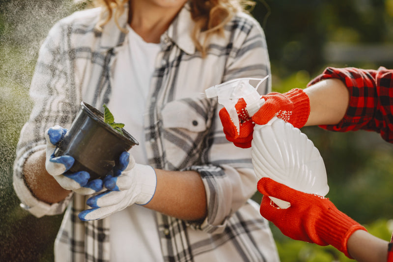 Duurzaam tuinieren met natuurlijke (bestrijdings)middelen