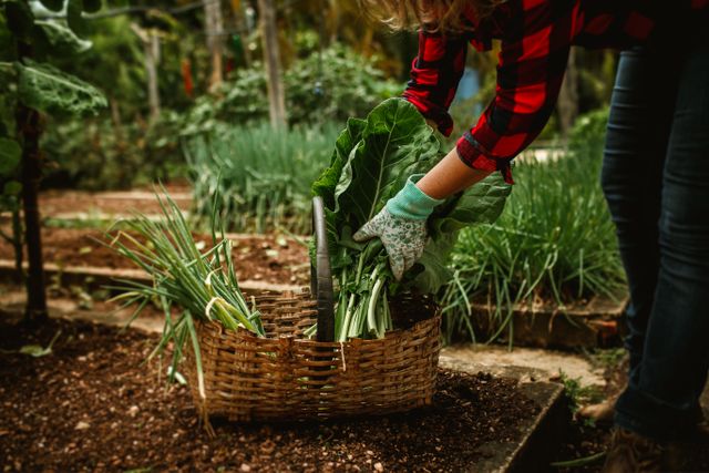 Combinatieteelt: gouden combinaties in de moestuin