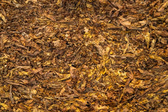 Zelf compost maken: zo doe je dat
