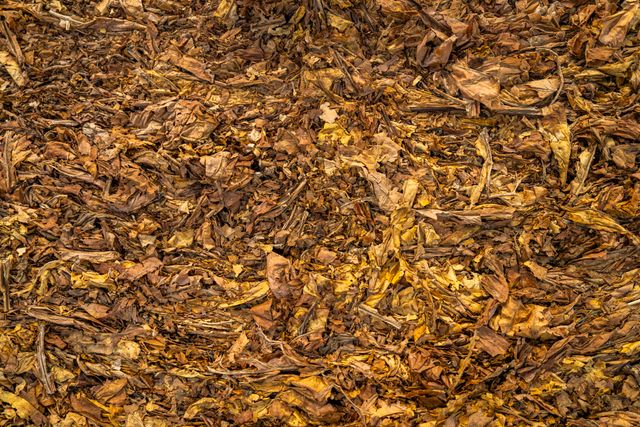 Zelf compost maken: zo doe je dat