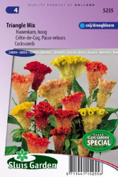 hanenkam celosia 