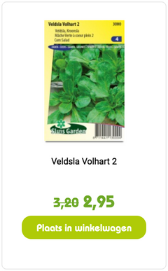 Zaaien in september: welke zaadjes kunnen nu de grond in?