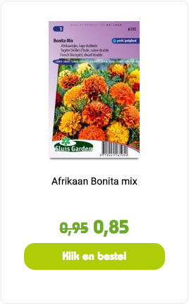 Zaaikalender bloemen: welke maand welke bloemen zaaien?