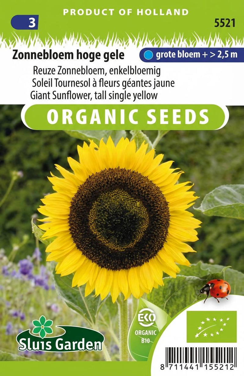 Zonnebloem (Reuze), enkelbloemig, hoge gele