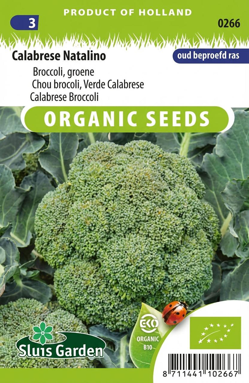 Broccoli Calabrese Natalino