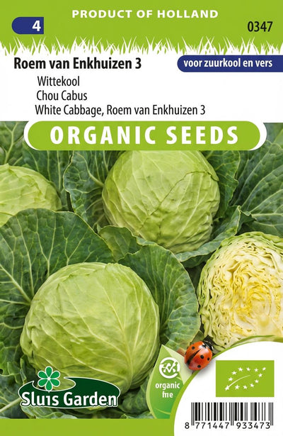 Witte kool Roem van Enkhuizen 3