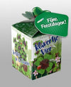 Greengift Klavertje Vier met label Fijne Feestdagen!
