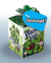 Greengift Klavertje Vier met label GESLAAGD
