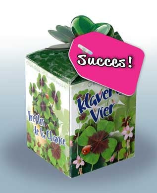 Greengift Klavertje Vier met label SUCCES