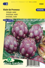 Artisjok Violet de Provence