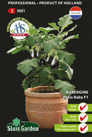 Aubergine Patio Baby F1