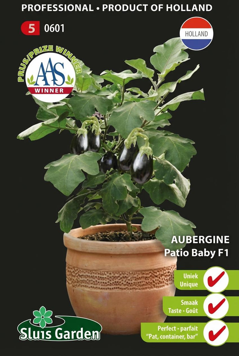 Aubergine Patio Baby F1