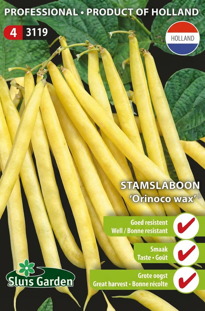 Stamslaboon Orinoco wax