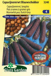 Capucijners Blauwschokker, ras Ezetha