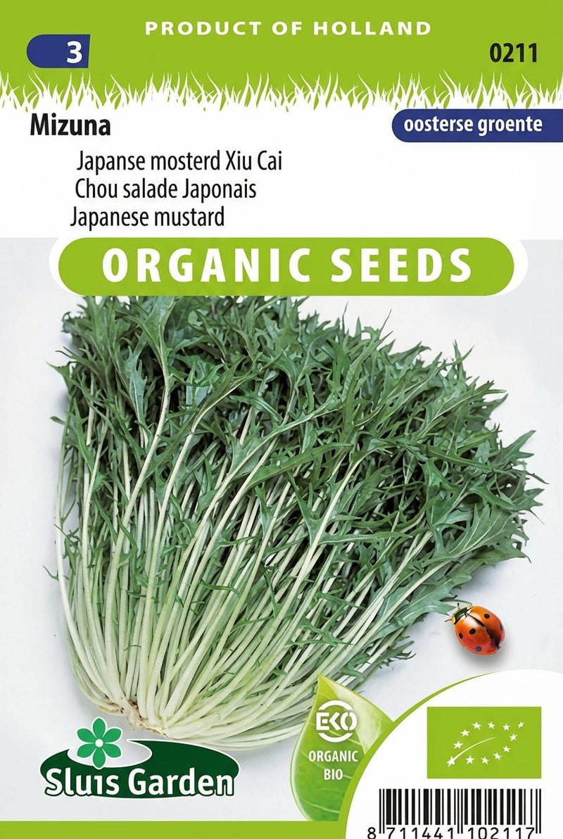 Japanse mosterd Xiu Cai Mizuna