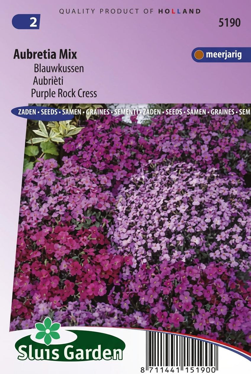 Blauwkussen Aubretia Mix
