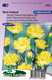Tuinanjer Marie Chabaud, geel
