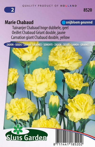 Tuinanjer Marie Chabaud, geel