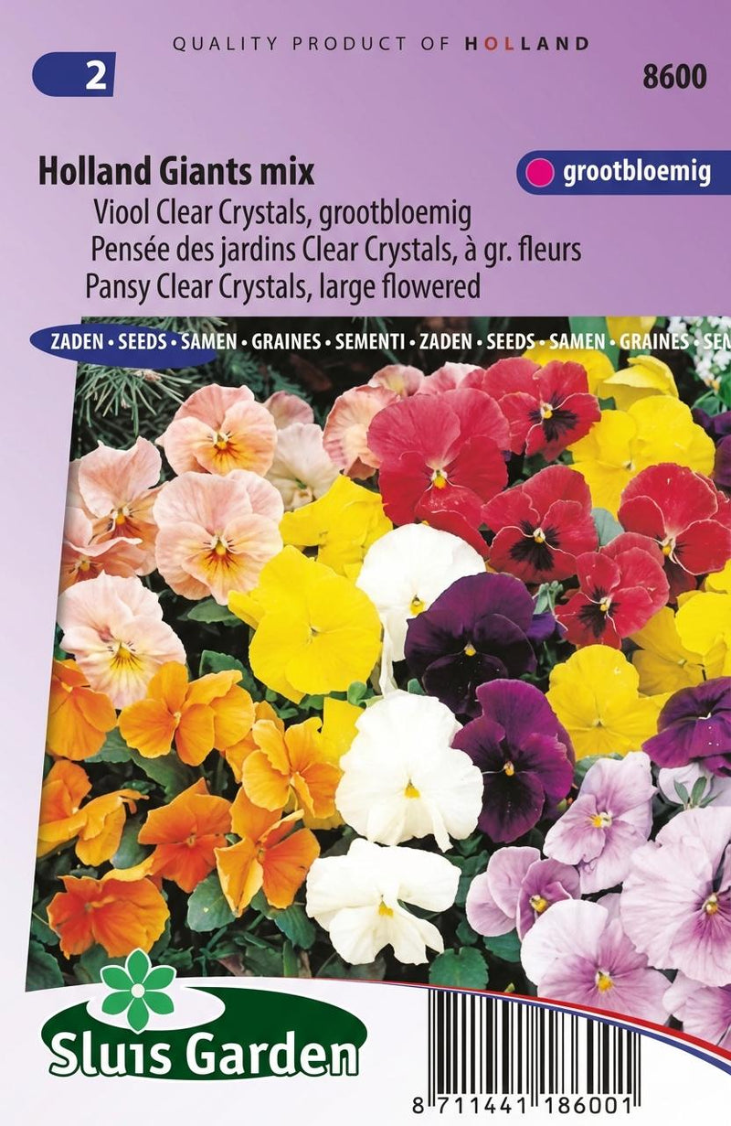 Viool Clear Crystals, Holland Giants mix