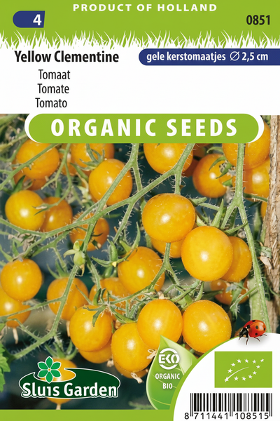 Tomaat Yellow Clementine