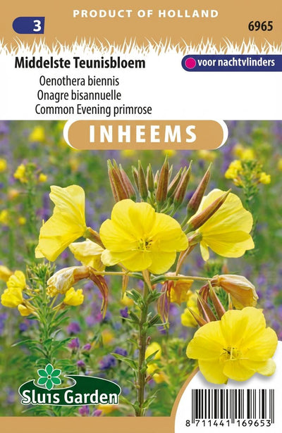 Middelste Teunisbloem