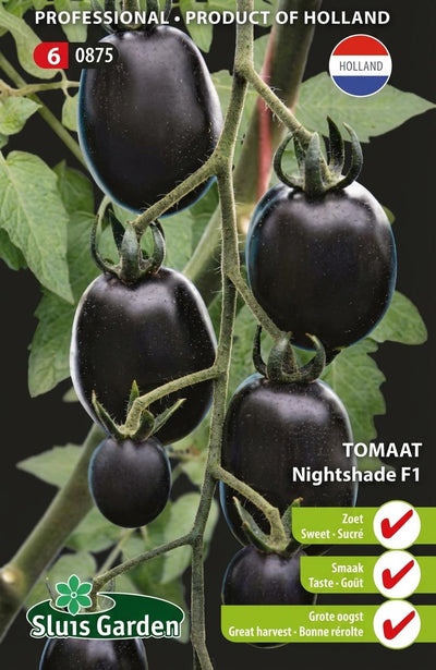 Tomaat Nightshade F1