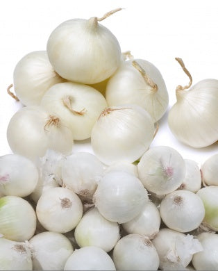 Plantui Snowball (500 gram)