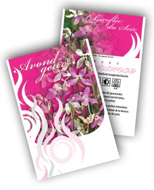 Matthiola (per 100 stuks)