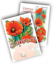Klaproos (per 100 stuks)