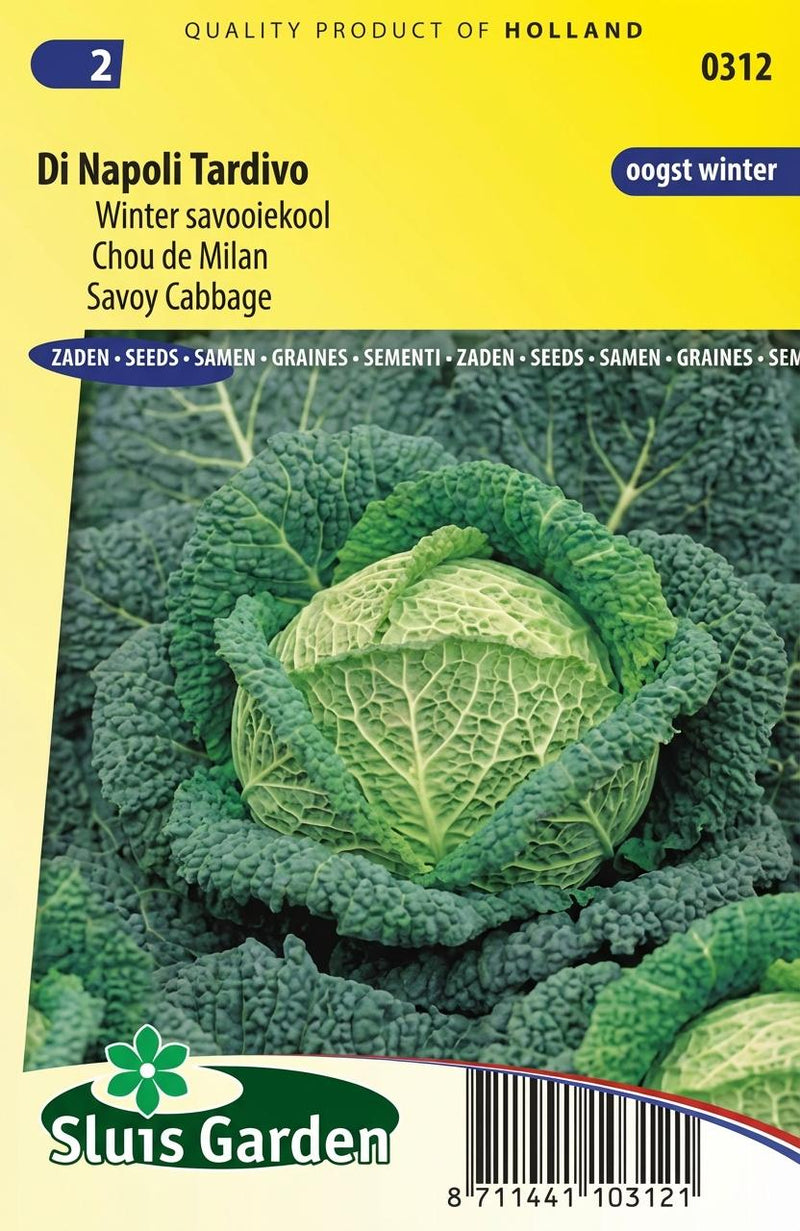 Winter savooiekool, Di Napoli Tardivo