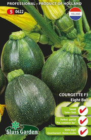 Courgette Eight Ball F1