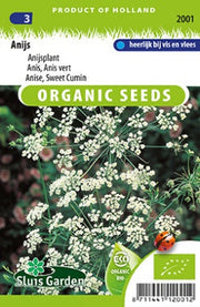Anijs, anijsplant