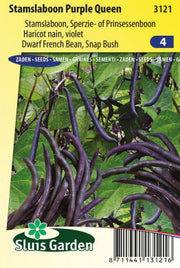 Stamslaboon Purple Queen