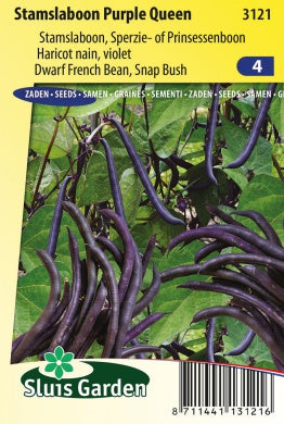 Stamslaboon Purple Queen