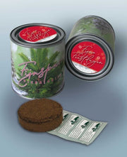 Fijnspar in blik  Fijne feestdagen