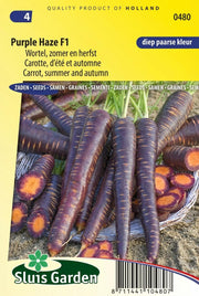 Wortel, zomer en herfst Purple Haze F1