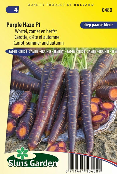 Wortel, zomer en herfst Purple Haze F1