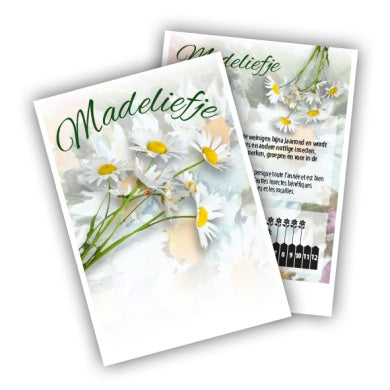 Madeliefje (per 100 stuks)
