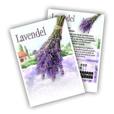 Echte Lavendel (per 100 stuks)
