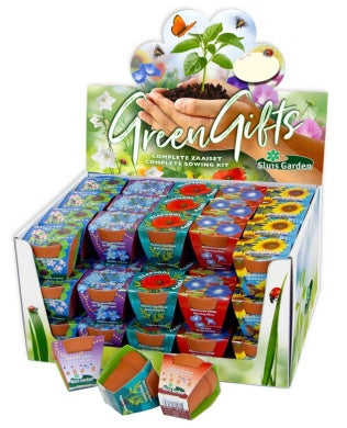 Terracotta showdoos gemengd 60 stuks