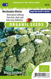 Boerenkool, halfhoog Westlandse Winter